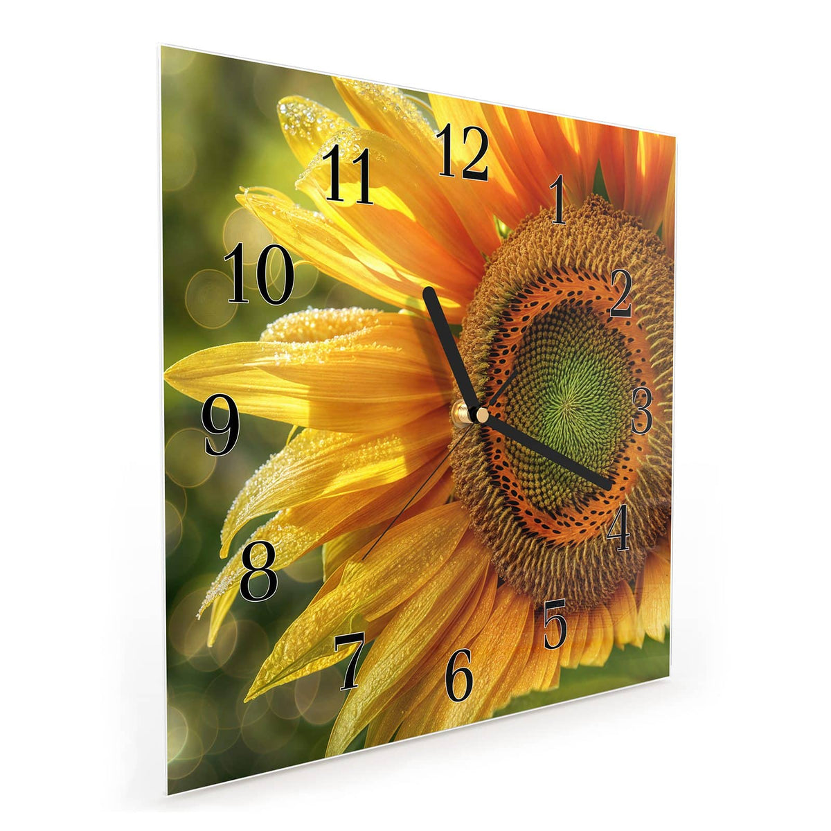 Quadratische Wanduhr aus Glas Sonnenblume mit Tau schräg von der Seite, 4 mm starkes Glas
