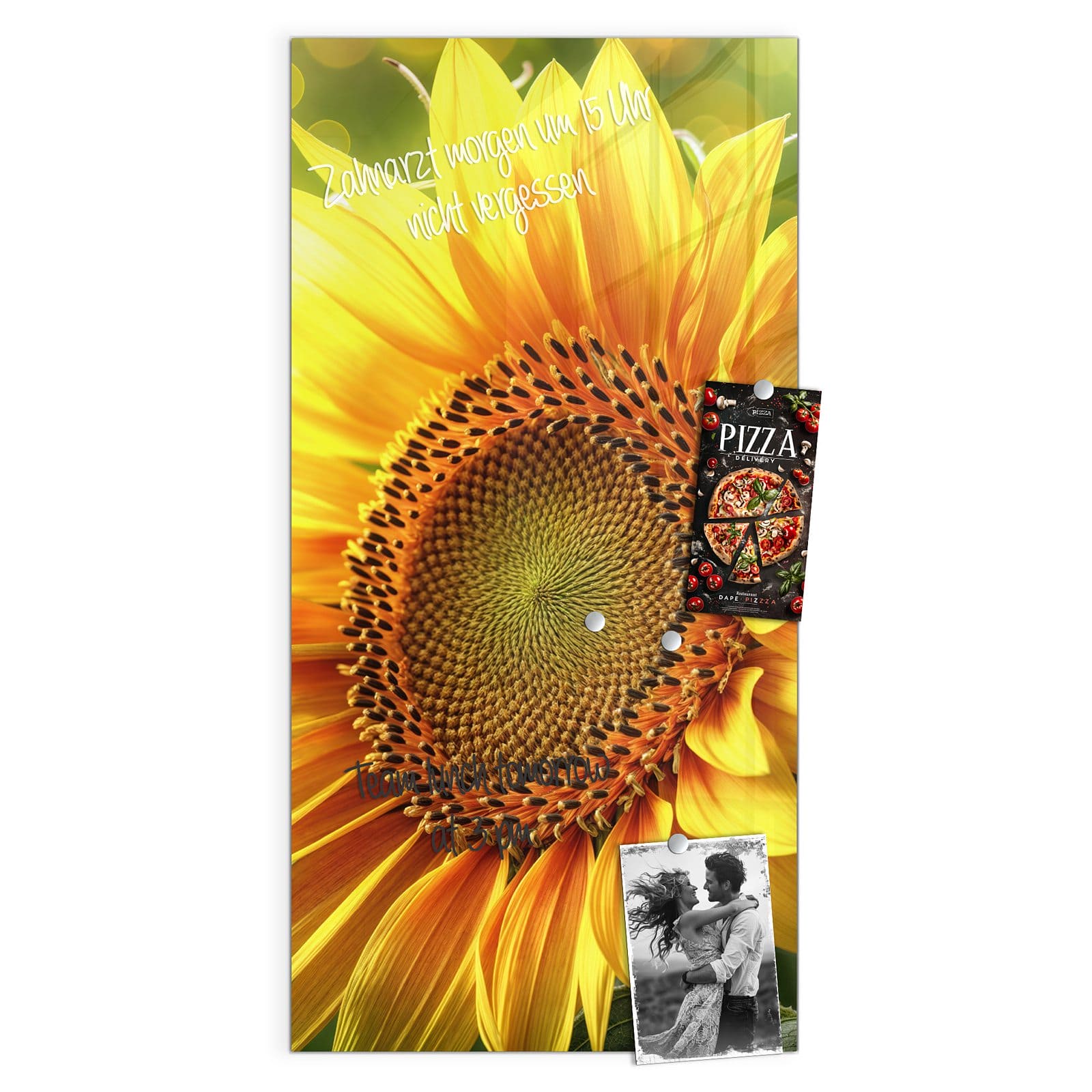 #grösse_50 x 100 cm