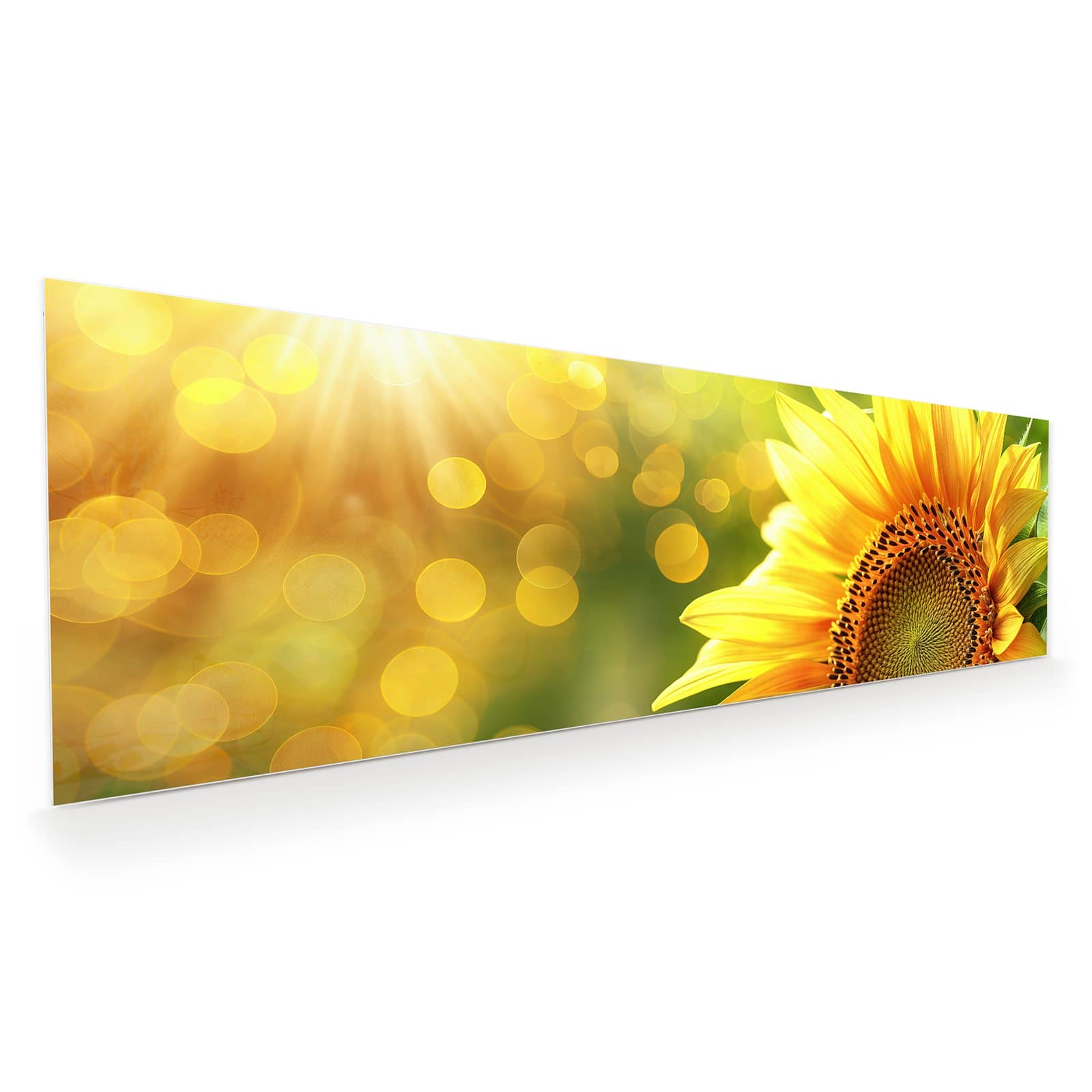 #grösse_120 x 40 cm