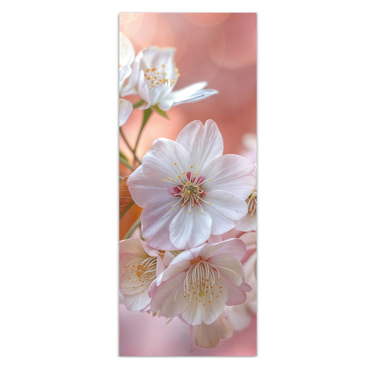 Weiße Kirschblüten mit bronzefarbenen jungen Blättern vor pfirsichfarbenem Bokeh.