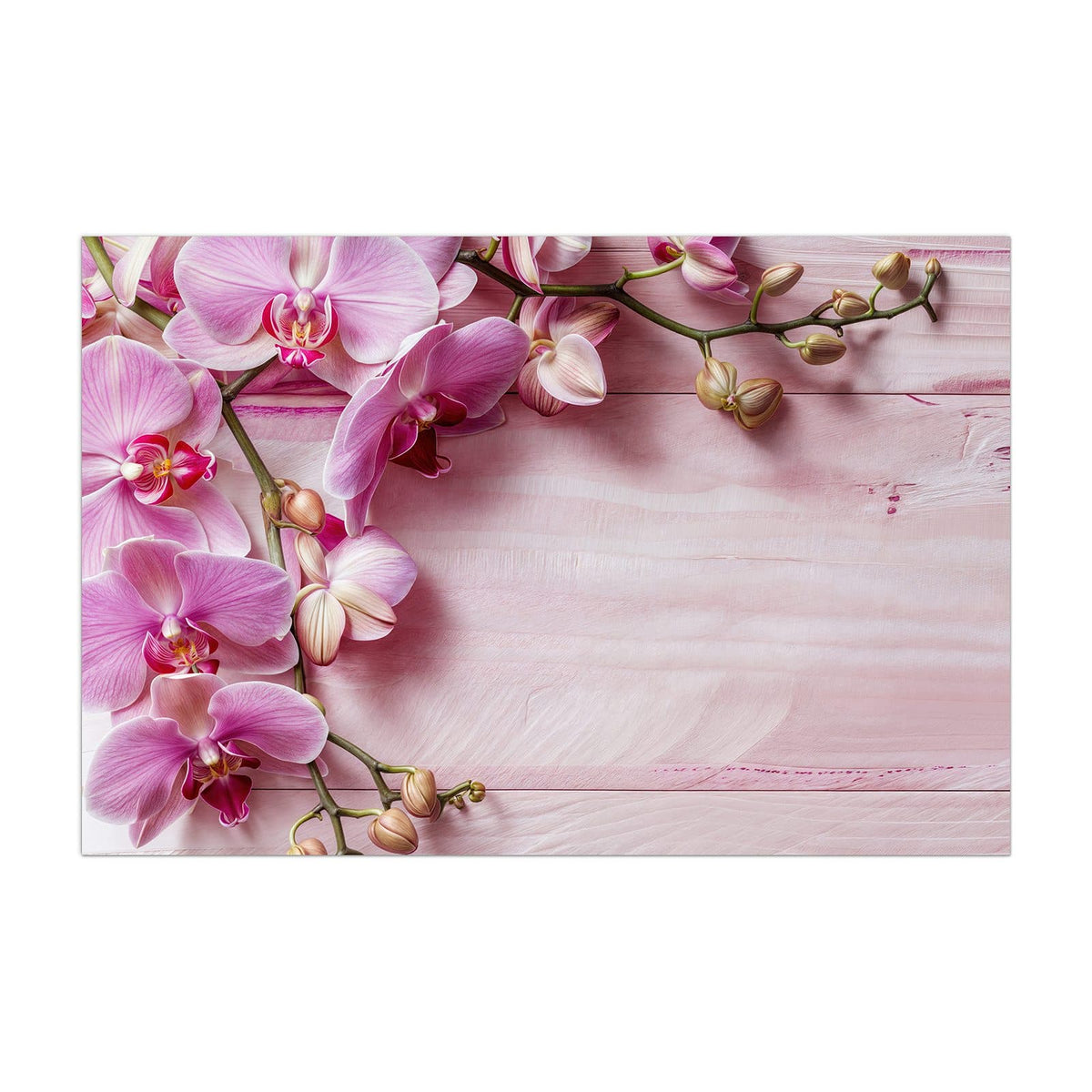 Küchenrückwand aus Glas Rosa Orchideenzweig im Hochformat, Motiv bildfüllend von vorn