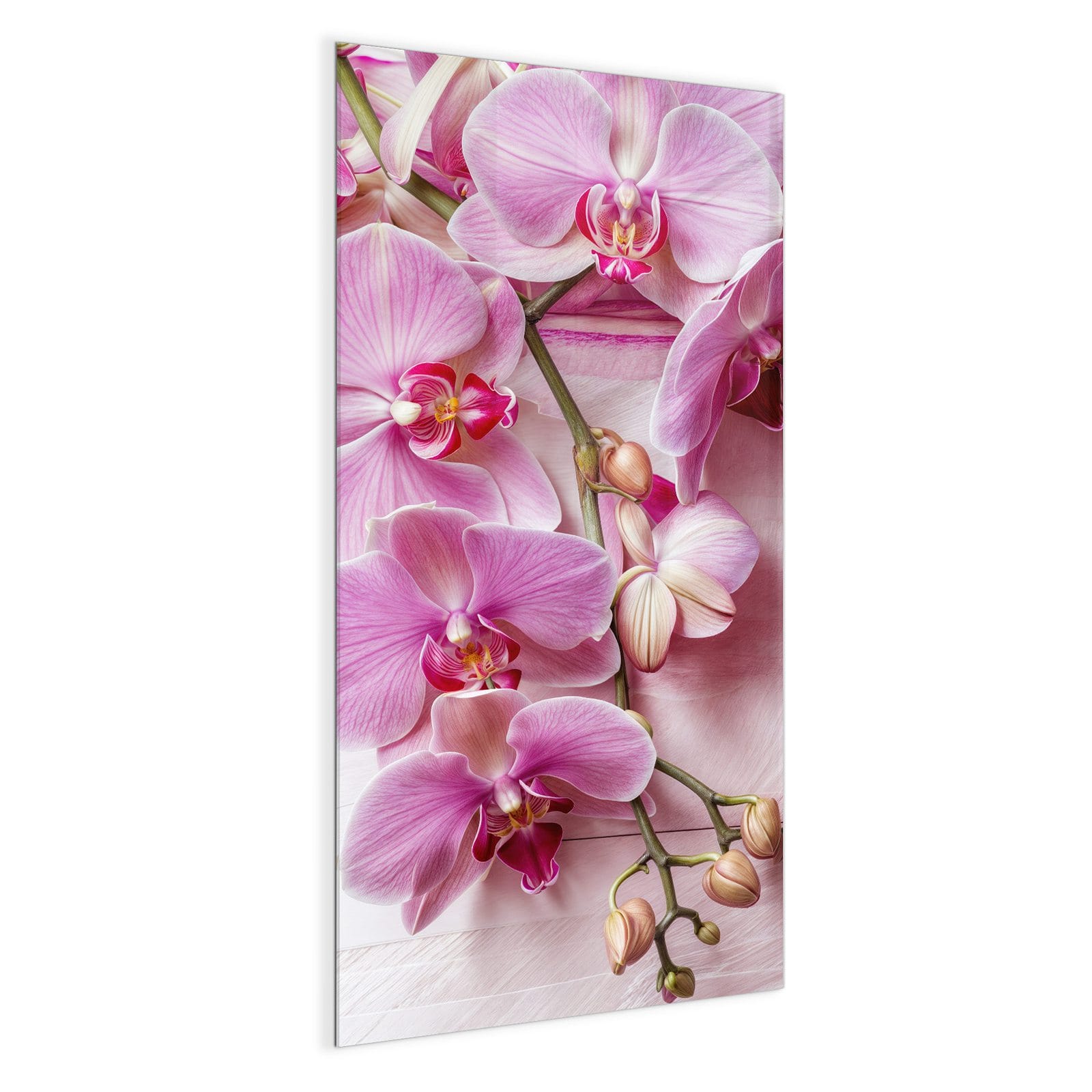 #grösse_50 x 100 cm