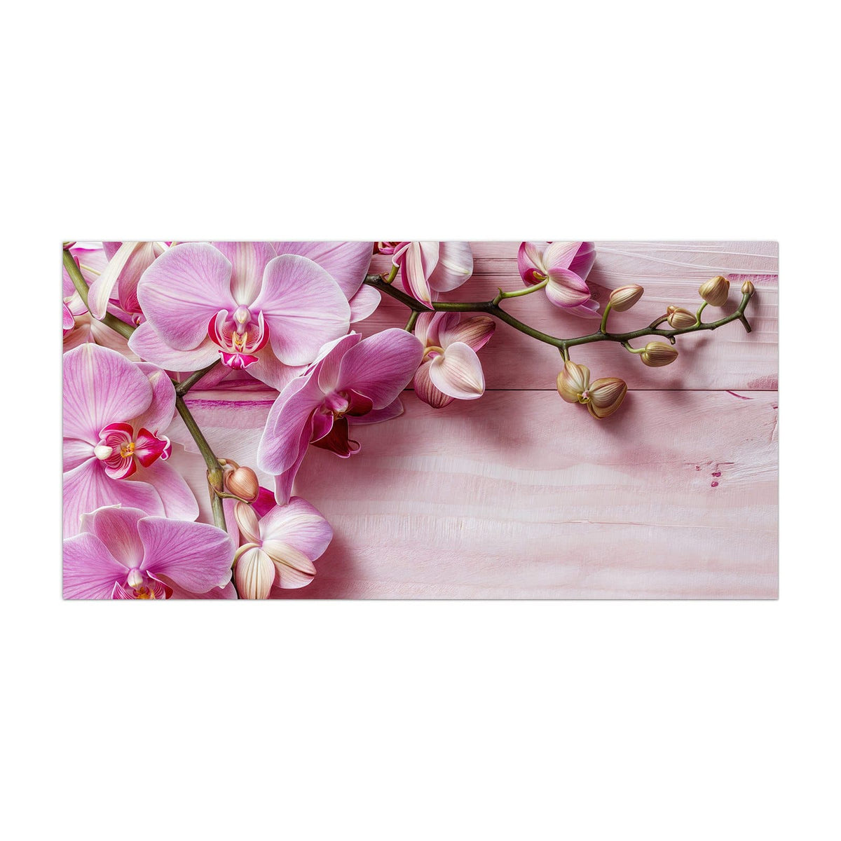 Küchenrückwand aus Glas Rosa Orchideenzweig im Hochformat, Motiv bildfüllend von vorn