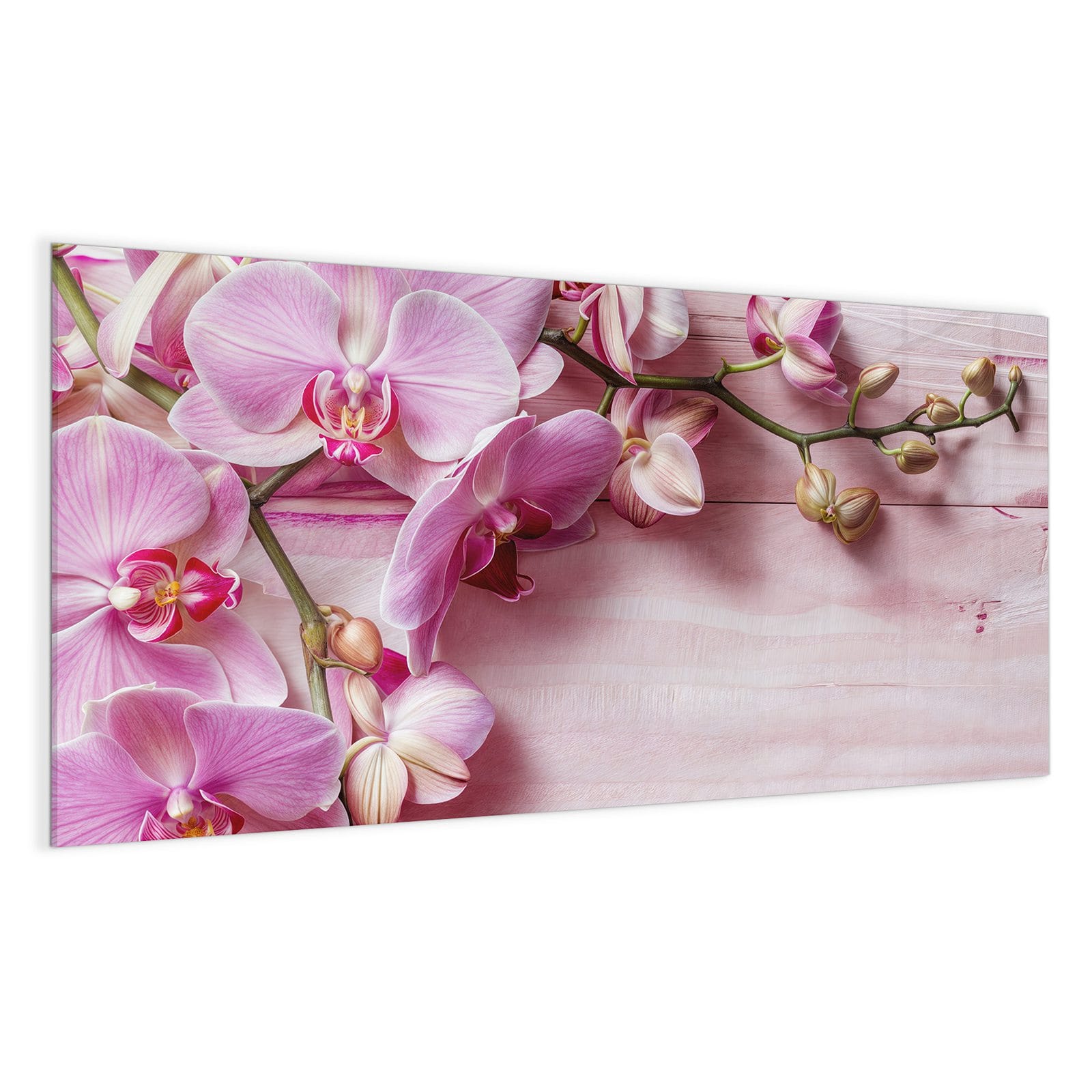 #grösse_100 x 50 cm