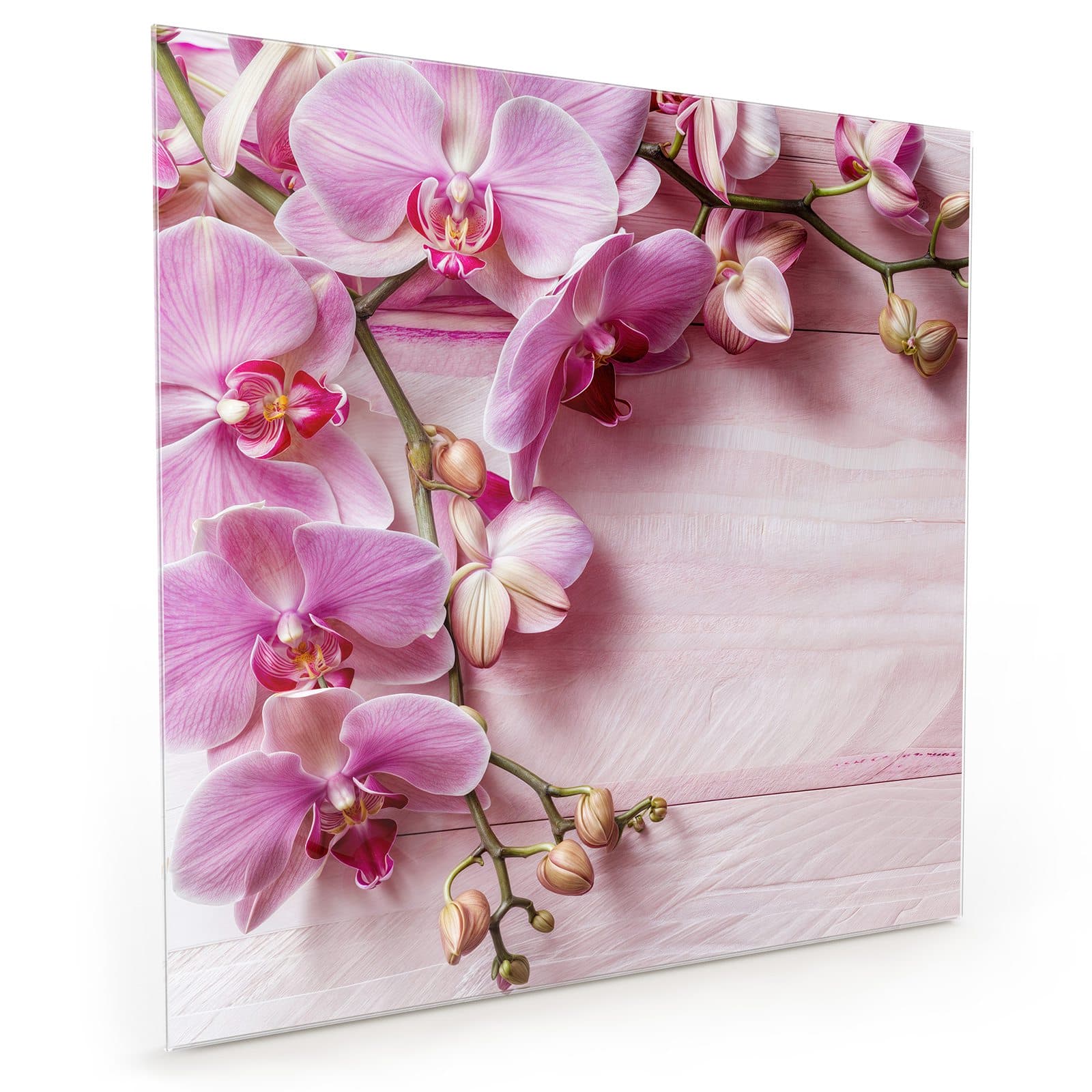#70 x 70 cm_