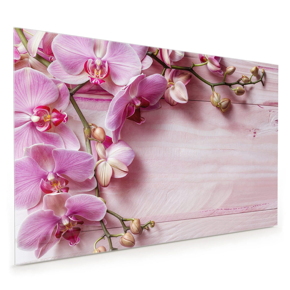 Küchenrückwand aus Glas im Hochformat: Rosa Orchideenzweig auf hell rosa gestrichenem Holz