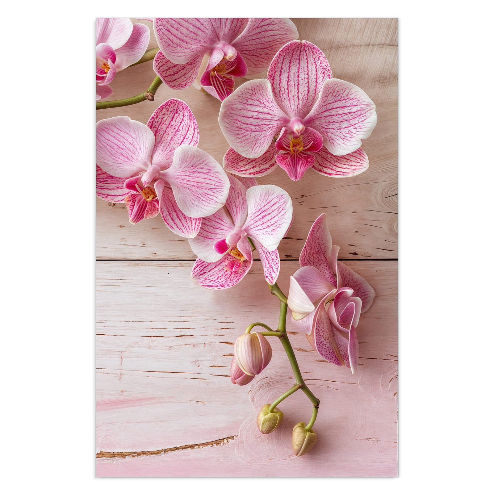 #grösse_40 x 60 cm #grösse_50 x 75 cm #grösse_60 x 90 cm