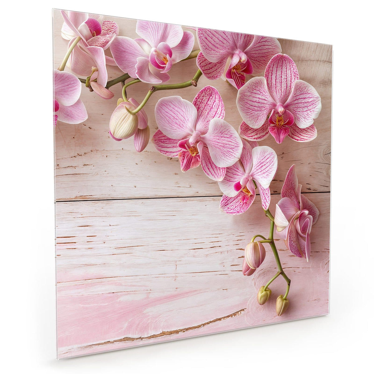 #grösse_40 x 40 cm #grösse_50 x 50 cm #grösse_60 x 60 cm