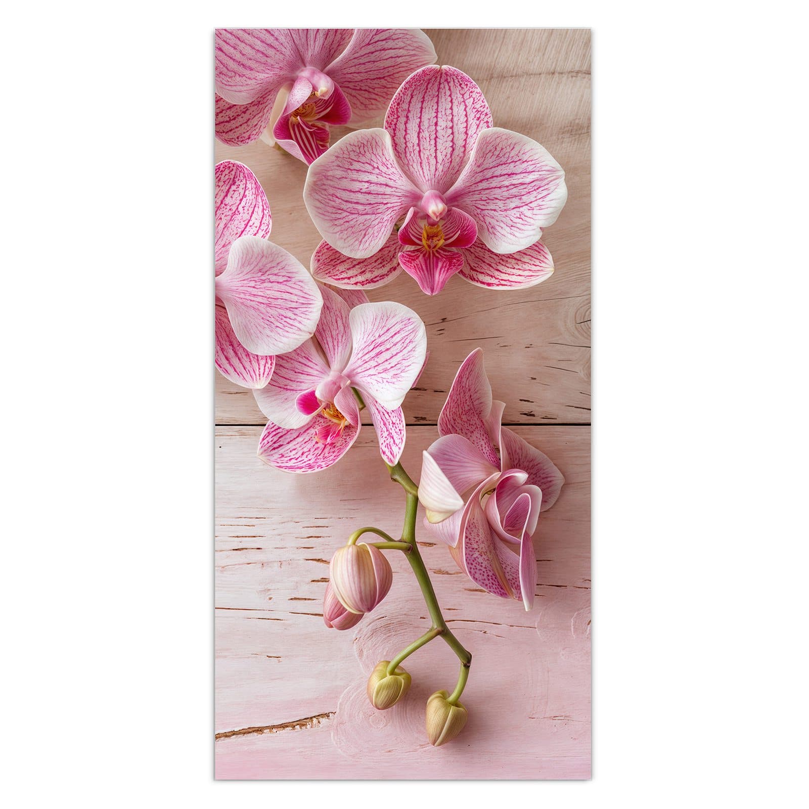 #grösse_30 x 60 cm #grösse_40 x 80 cm #grösse_50 x 100 cm #grösse_55 x 110 cm #grösse_60 x 120 cm
