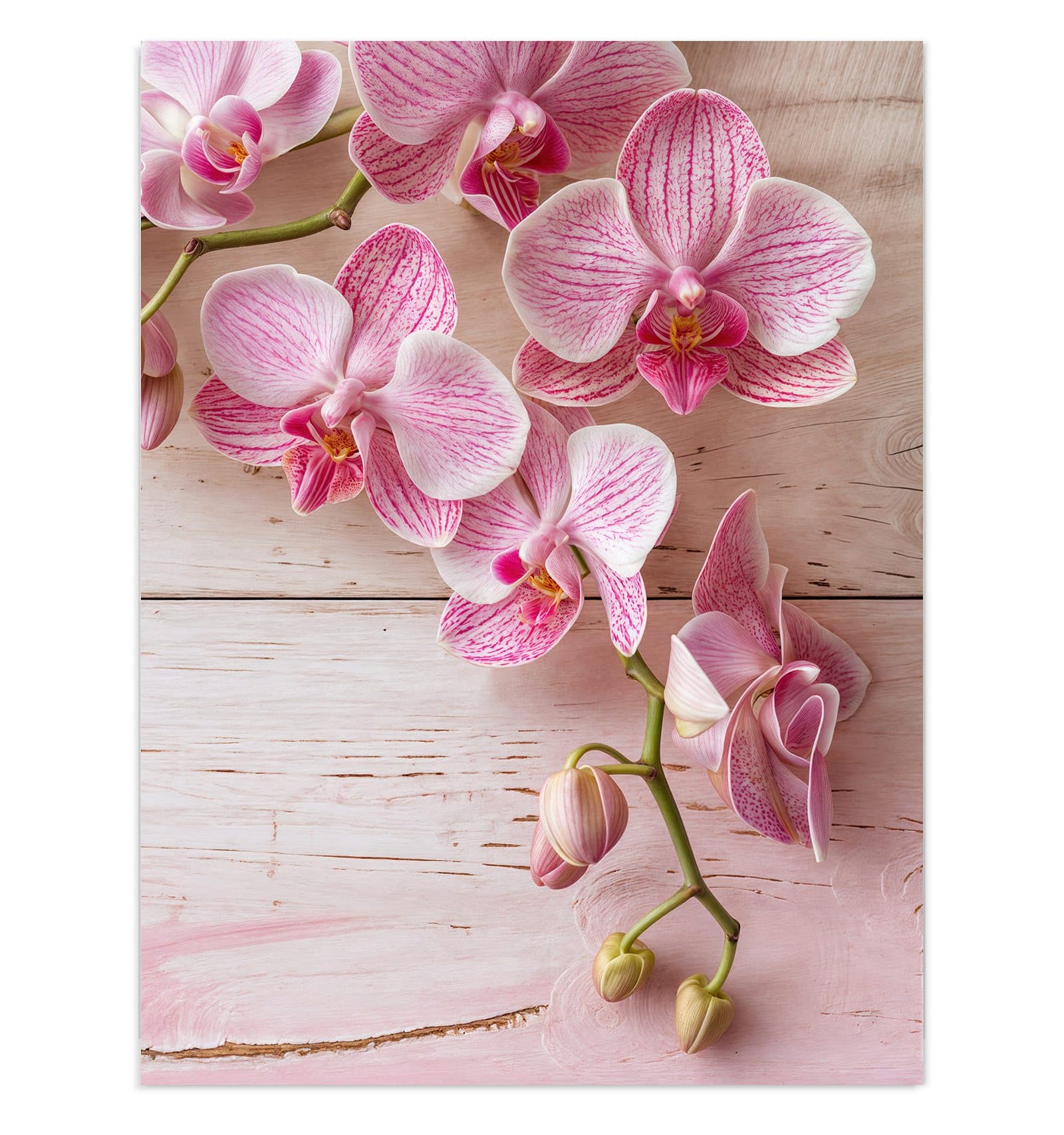 #grösse_30 x 40 cm #grösse_60 x 80 cm #grösse_75 x 100 cm