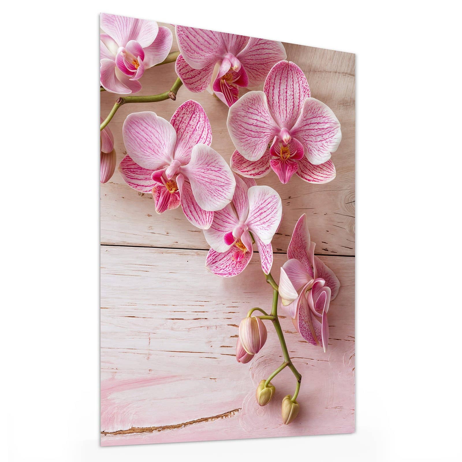 #grösse_30 x 40 cm #grösse_60 x 80 cm #grösse_75 x 100 cm