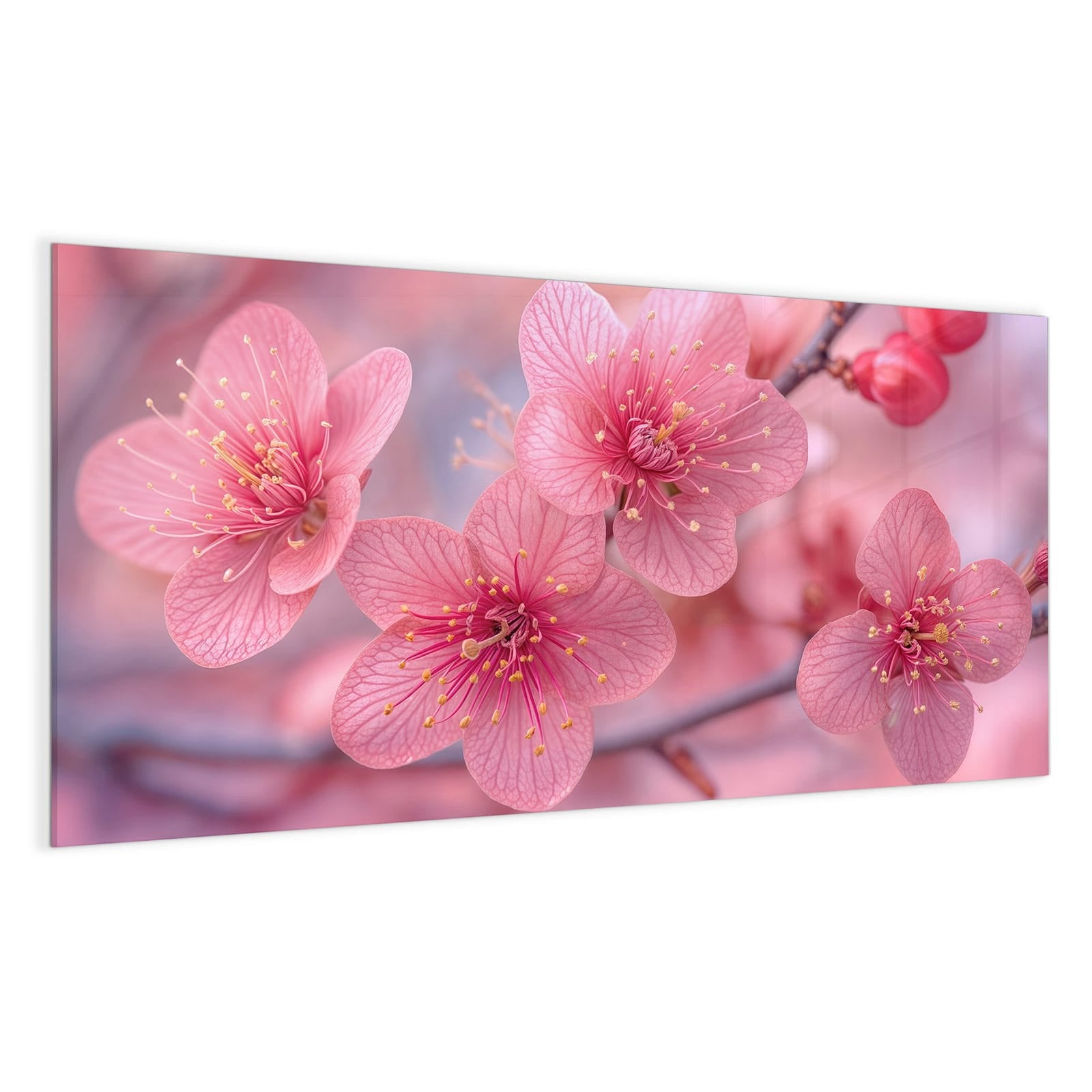 #grösse_100 x 50 cm