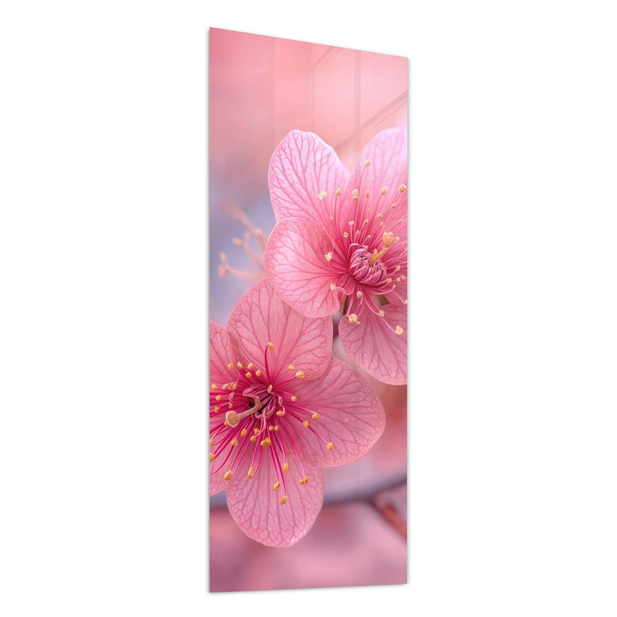 Glasbild Drei Blüten in Pink von der Seite, 4 mm Echtglas