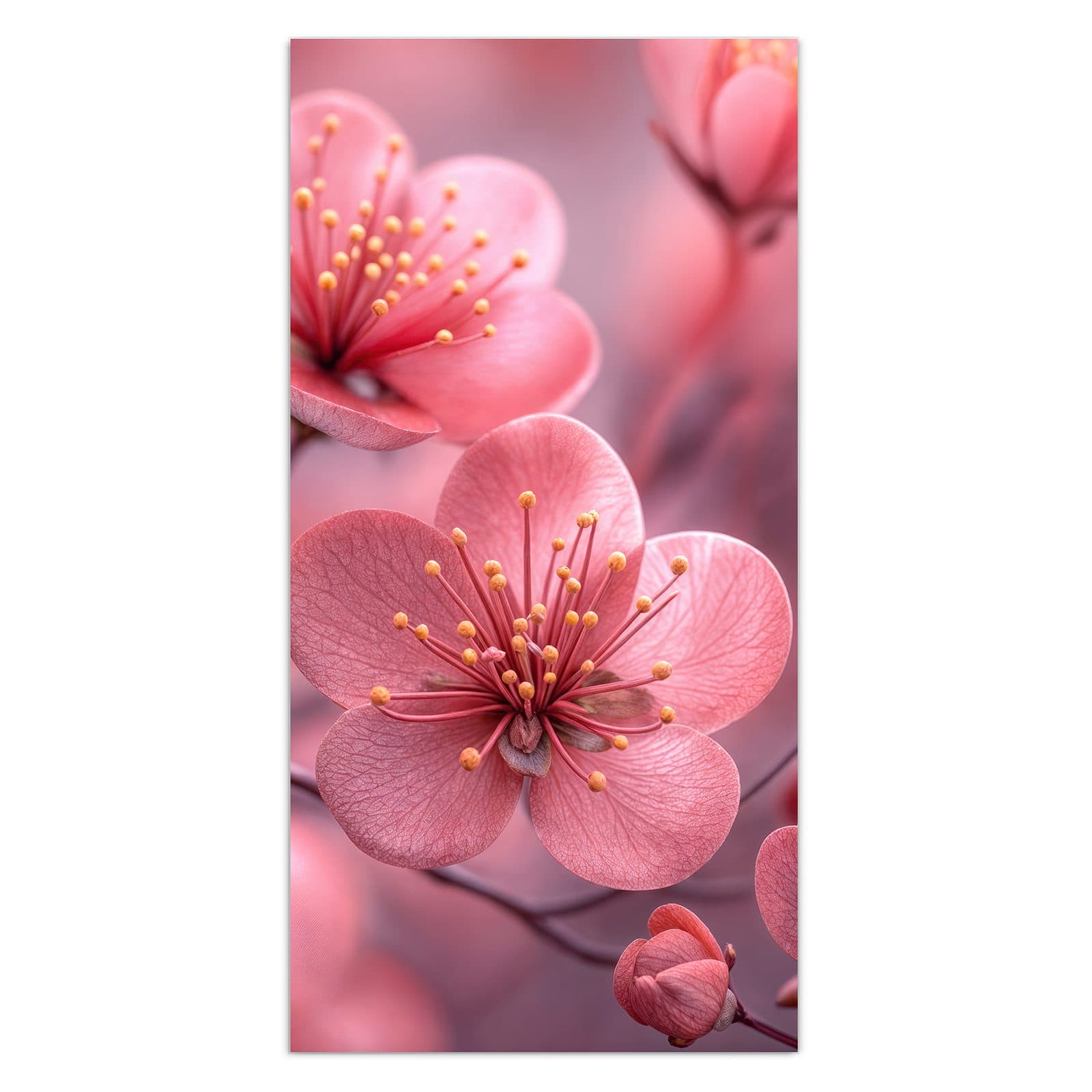 #grösse_30 x 60 cm #grösse_40 x 80 cm #grösse_50 x 100 cm #grösse_55 x 110 cm #grösse_60 x 120 cm