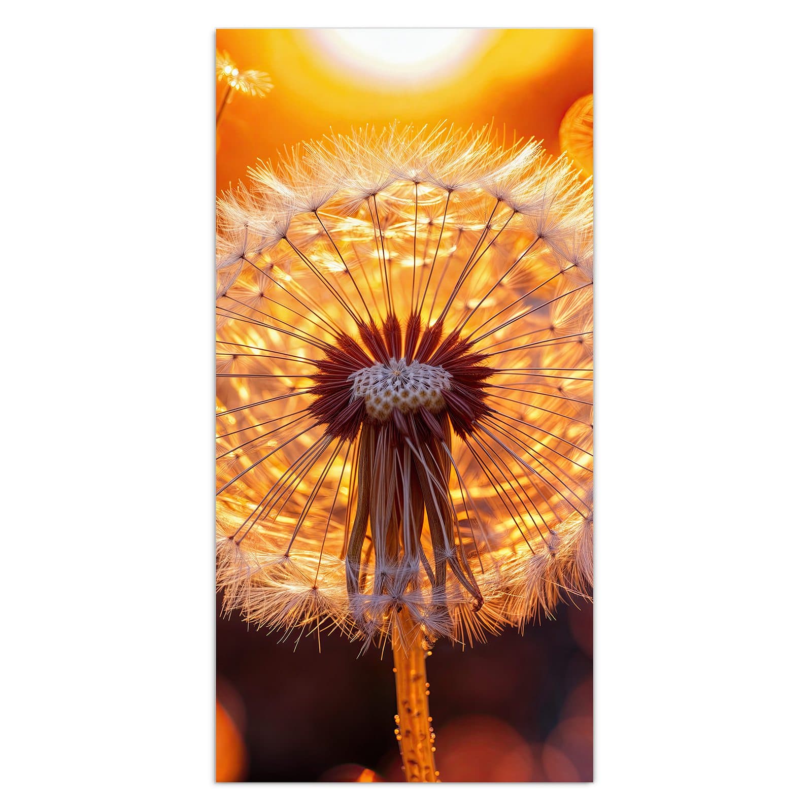 #grösse_30 x 60 cm #grösse_40 x 80 cm #grösse_50 x 100 cm #grösse_55 x 110 cm #grösse_60 x 120 cm