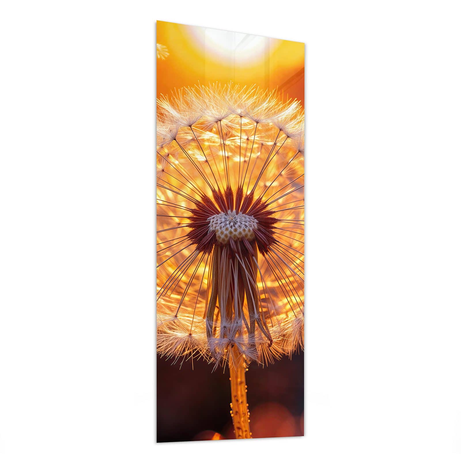 #grösse_50 x 125 cm #grösse_40 x 100 cm #grösse_60 x 150 cm
