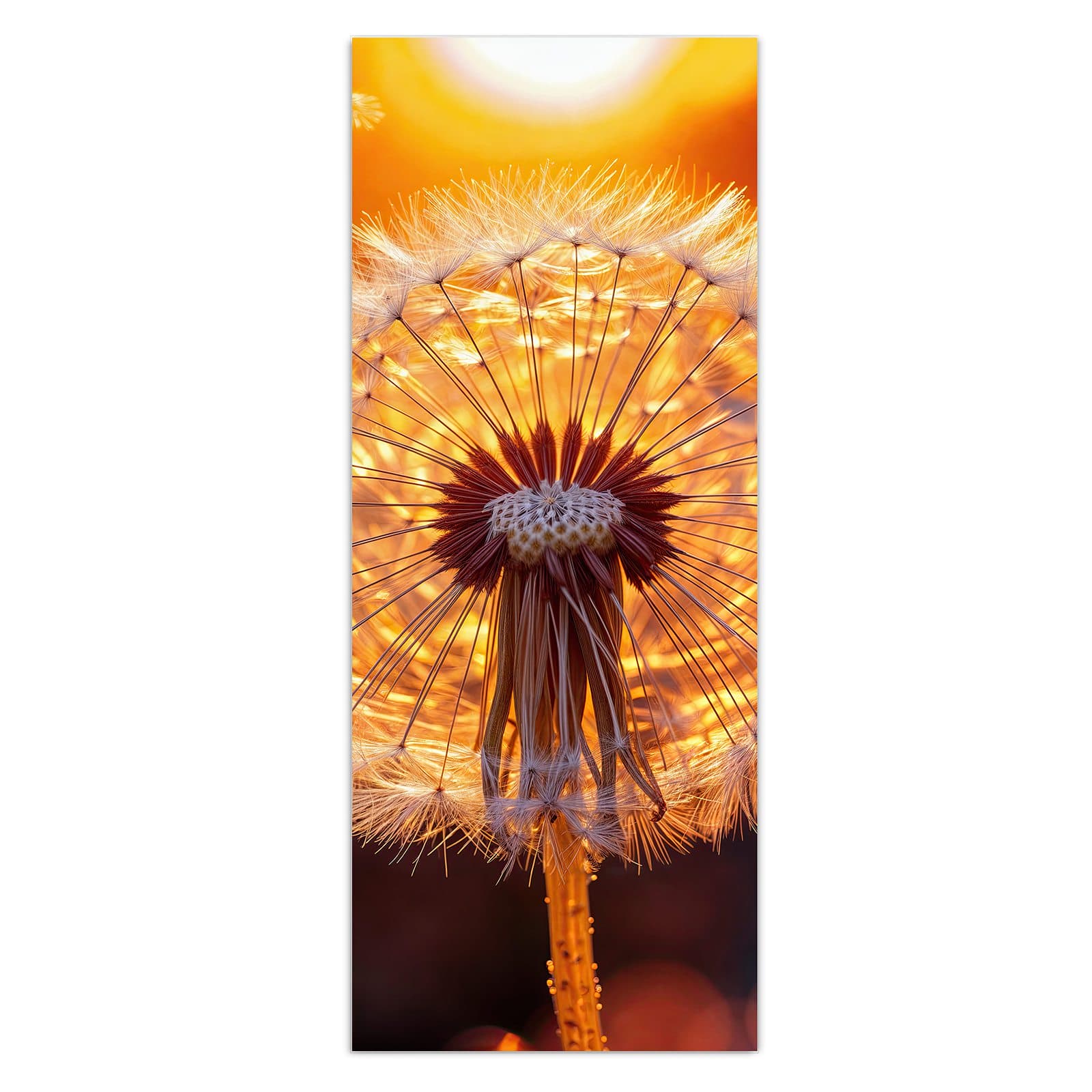 #grösse_50 x 125 cm #grösse_40 x 100 cm #grösse_60 x 150 cm