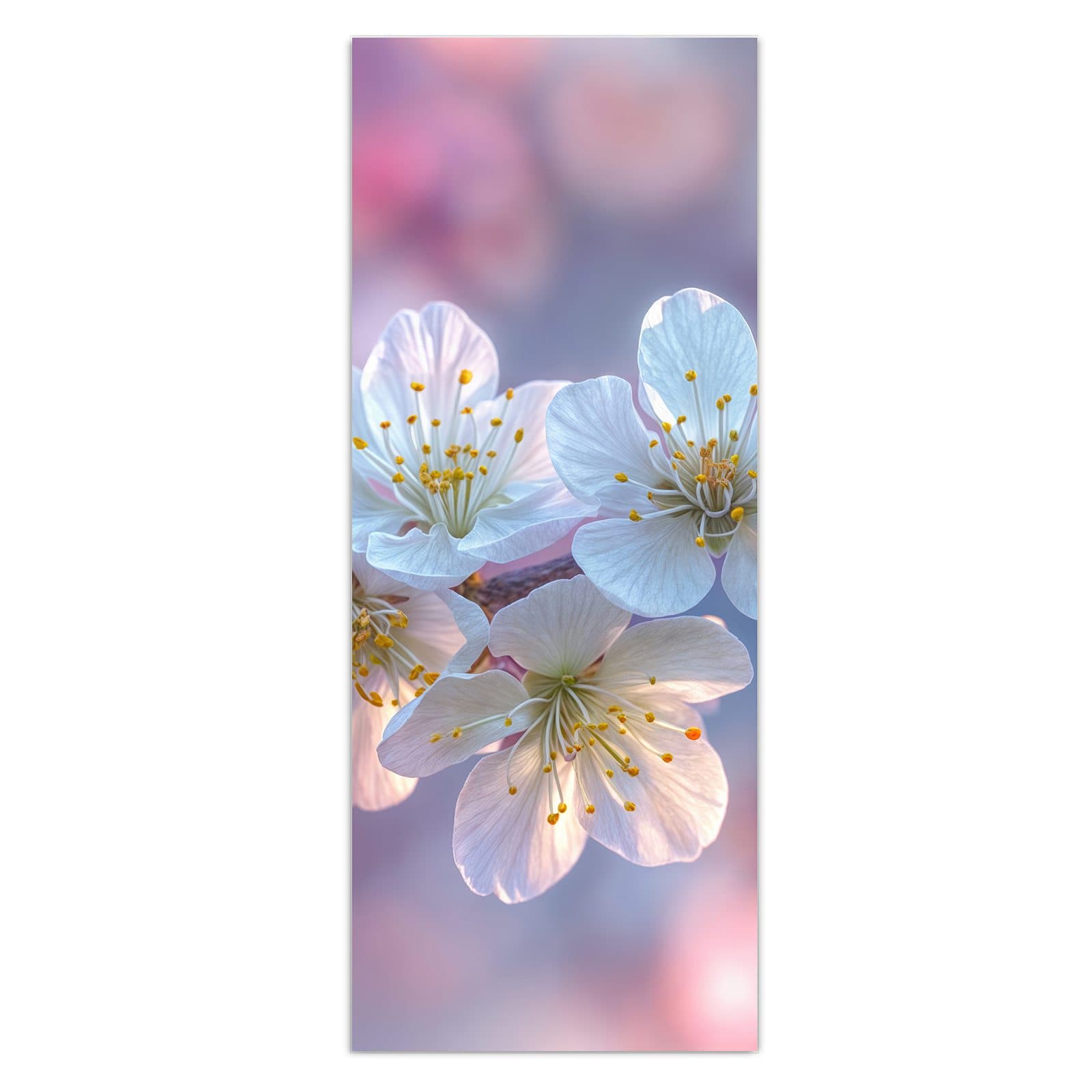 #grösse_50 x 125 cm #grösse_40 x 100 cm #grösse_60 x 150 cm