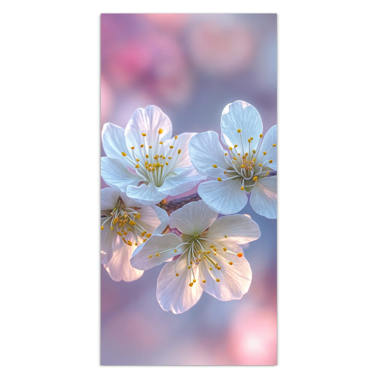 #grösse_30 x 60 cm #grösse_40 x 80 cm #grösse_50 x 100 cm #grösse_55 x 110 cm #grösse_60 x 120 cm