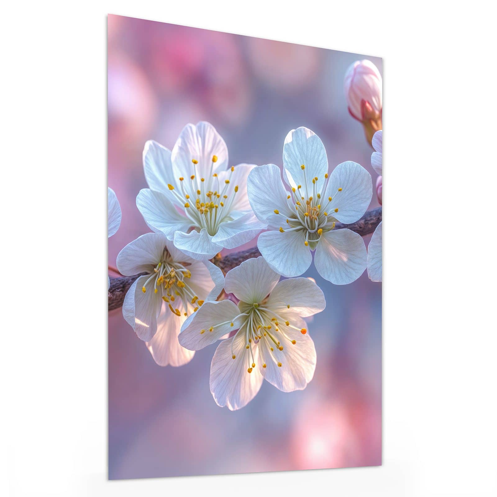 #grösse_30 x 40 cm #grösse_60 x 80 cm #grösse_75 x 100 cm