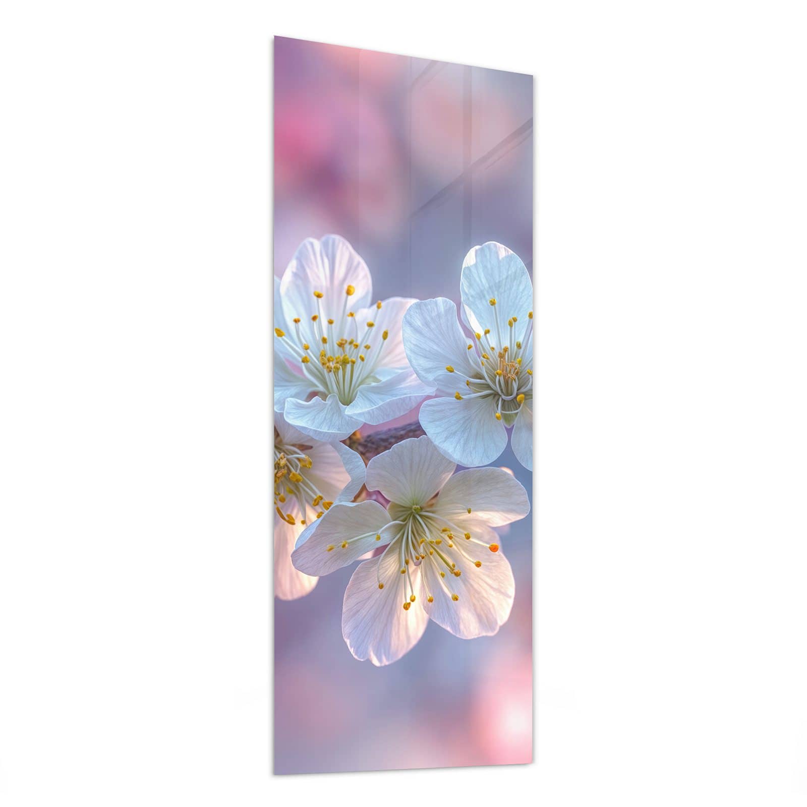 #grösse_50 x 125 cm #grösse_40 x 100 cm #grösse_60 x 150 cm