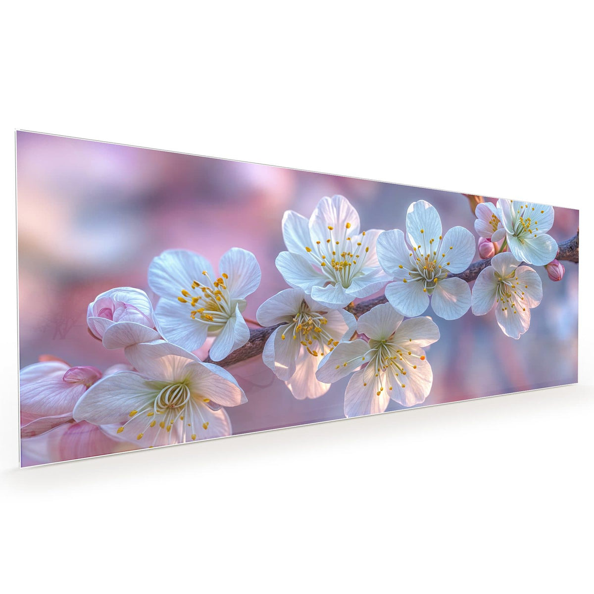 Küchenrückwand aus Glas im Hochformat mit Motiv Weißer Blütenzweig: Weiße Kirschblüten mit gelben Staubgefäßen am Zweig vor rosa-lila Bokeh