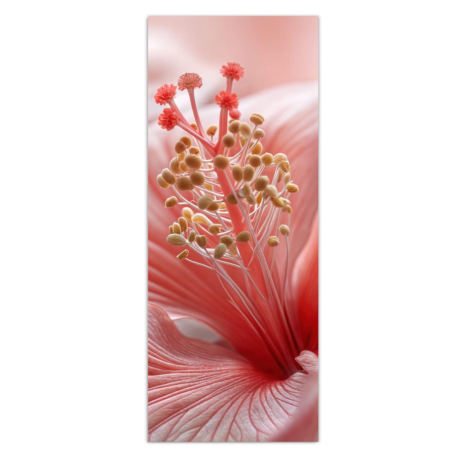 #grösse_50 x 125 cm #grösse_40 x 100 cm #grösse_60 x 150 cm