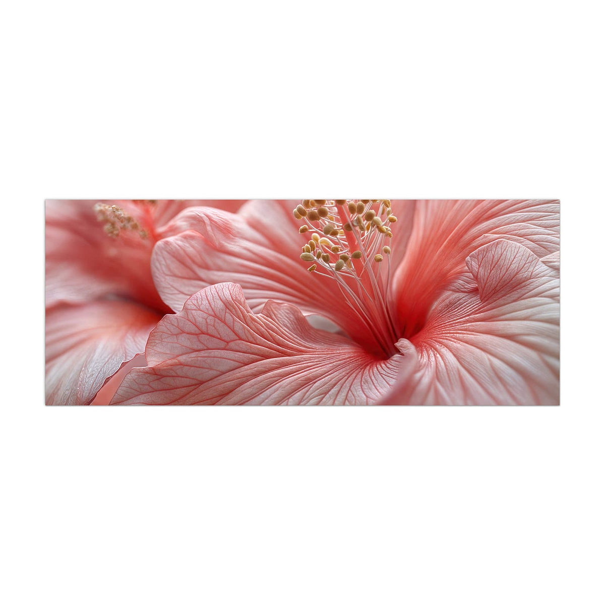 Küchenrückwand aus Glas Rosa Hibiskusblüte im Hochformat, Motiv bildfüllend von vorn
