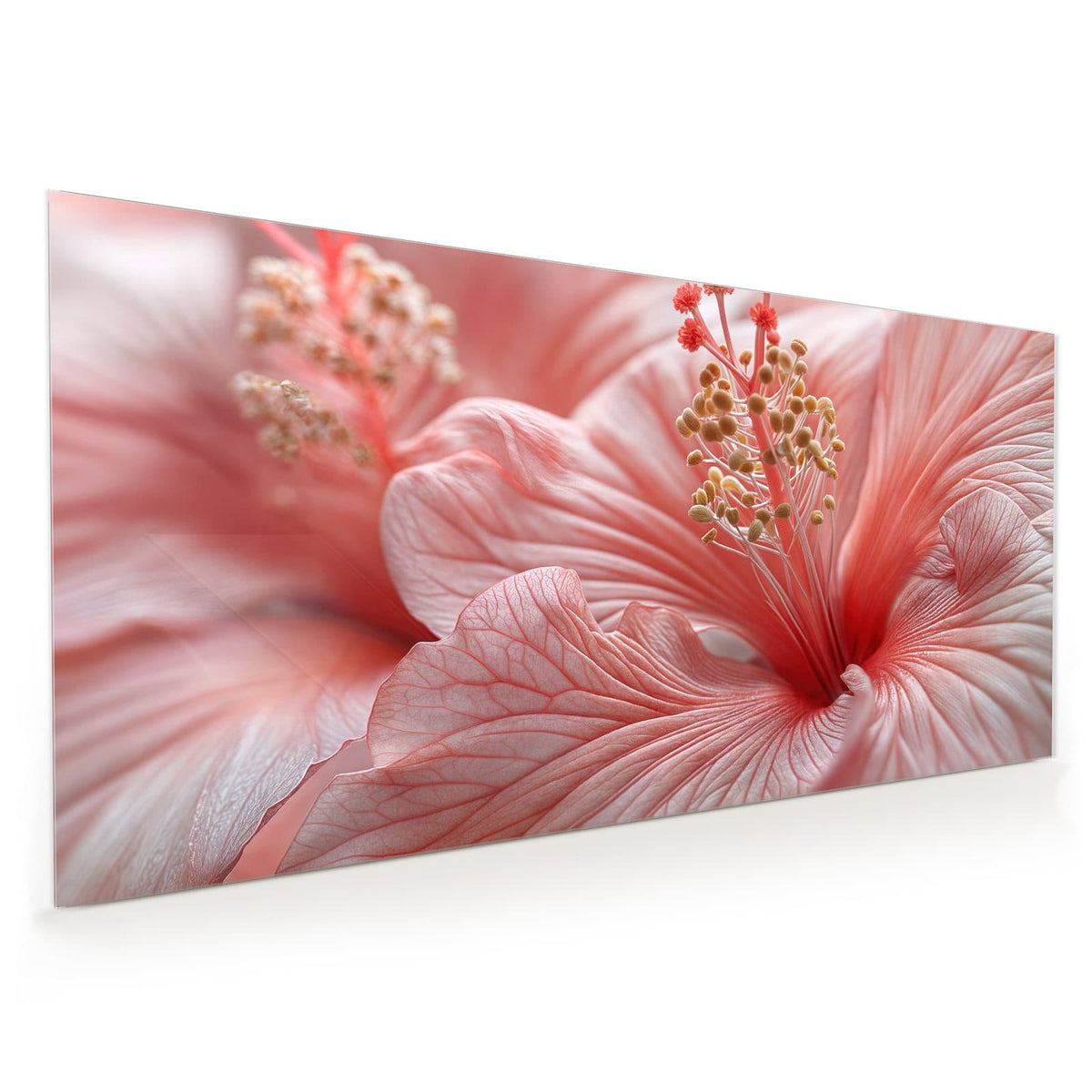 Küchenrückwand aus Glas im Hochformat: Makro einer rosa Hibiskusblüte mit Staubblattsäule