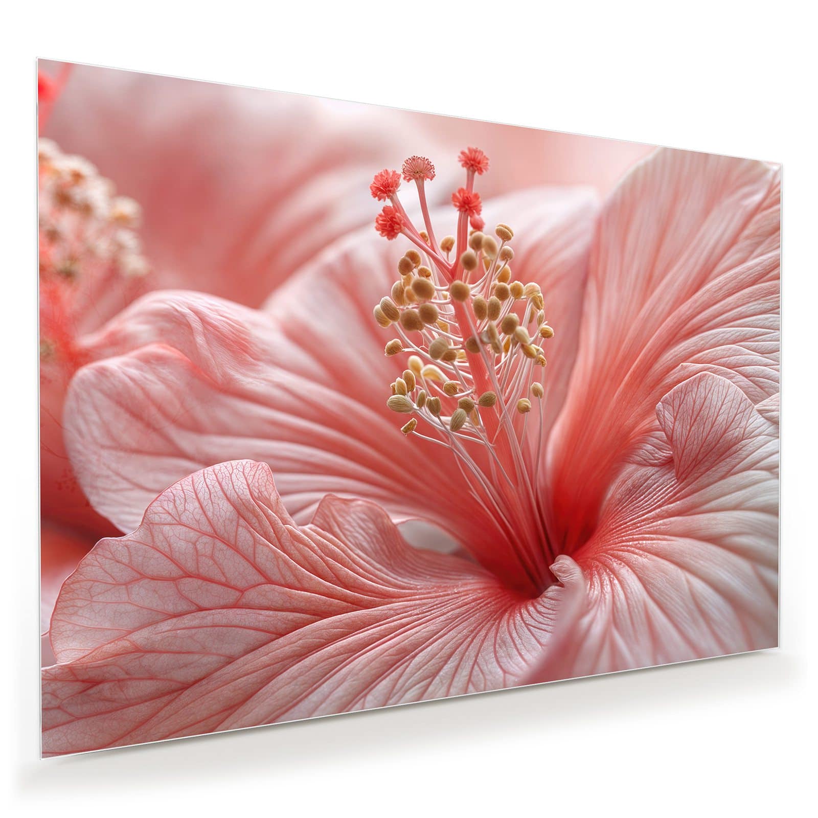 #grösse_100 x 70 cm