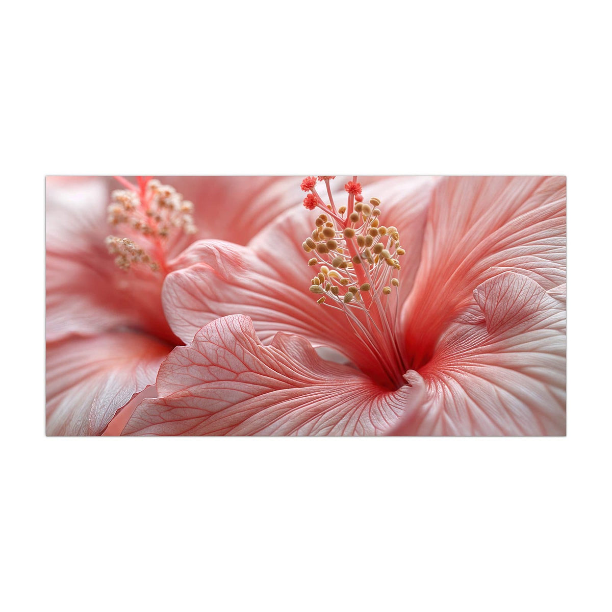 Küchenrückwand aus Glas Rosa Hibiskusblüte im Hochformat, Motiv bildfüllend von vorn
