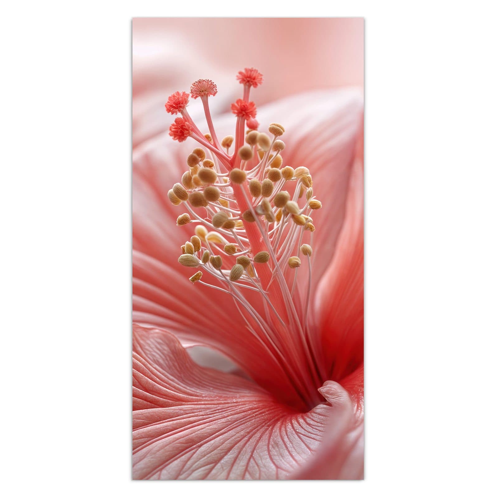 #grösse_30 x 60 cm #grösse_40 x 80 cm #grösse_50 x 100 cm #grösse_55 x 110 cm #grösse_60 x 120 cm