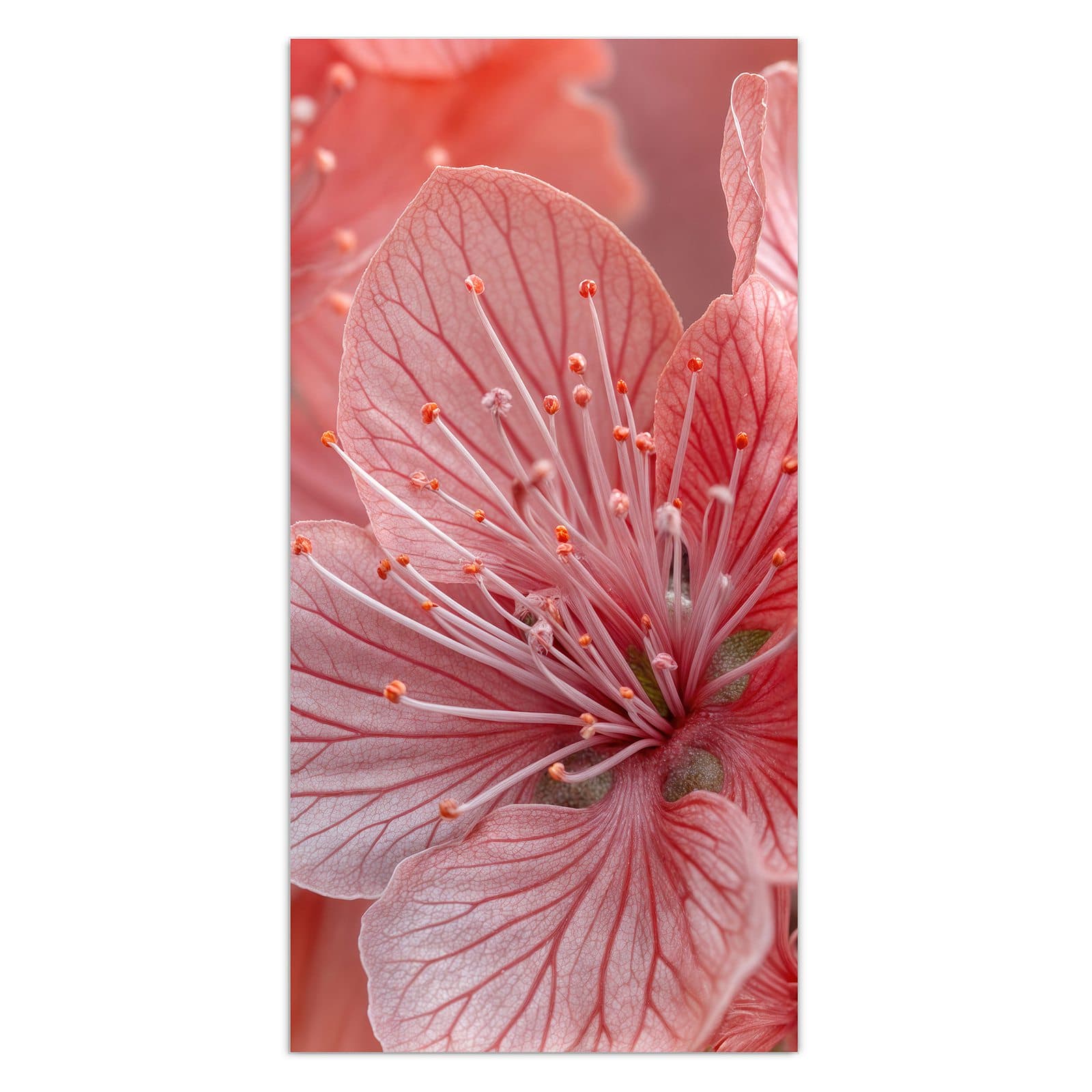 #grösse_30 x 60 cm #grösse_40 x 80 cm #grösse_50 x 100 cm #grösse_55 x 110 cm #grösse_60 x 120 cm