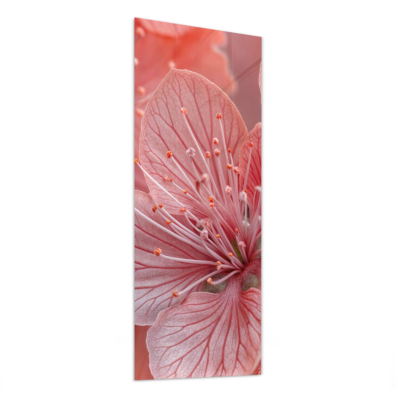 #grösse_50 x 125 cm #grösse_40 x 100 cm #grösse_60 x 150 cm