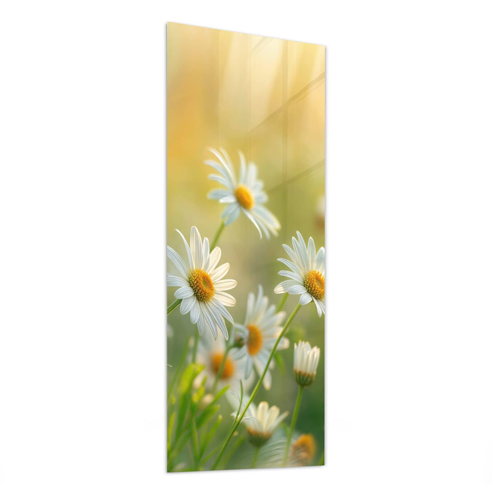 #grösse_50 x 125 cm #grösse_40 x 100 cm #grösse_60 x 150 cm