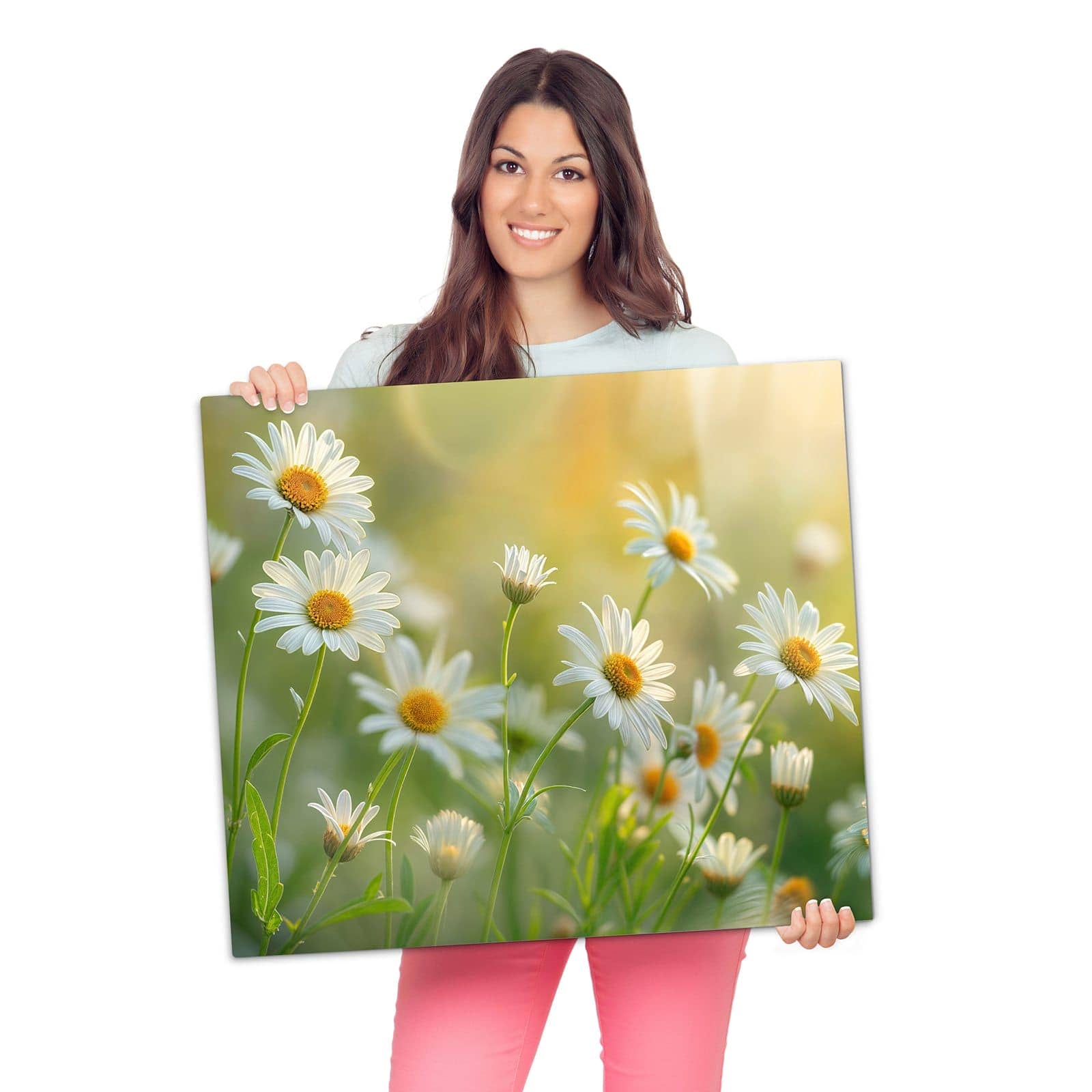Herdabdeckplatte für Ceranfeld mit Blühende Gänseblümchen-Motiv wird zur Größendarstellung gehalten
