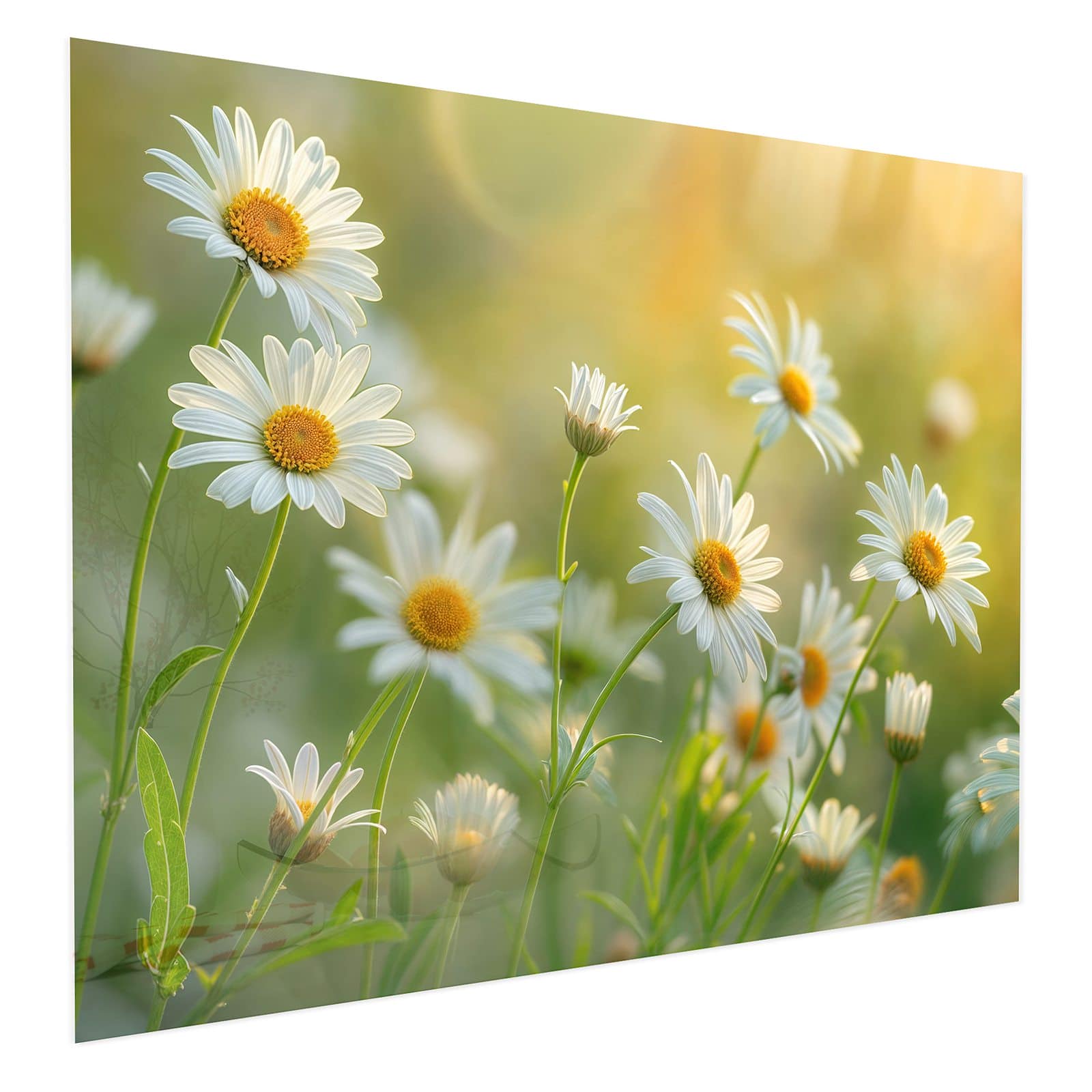 #grösse_75 x 60 cm #grösse_100 x 80 cm