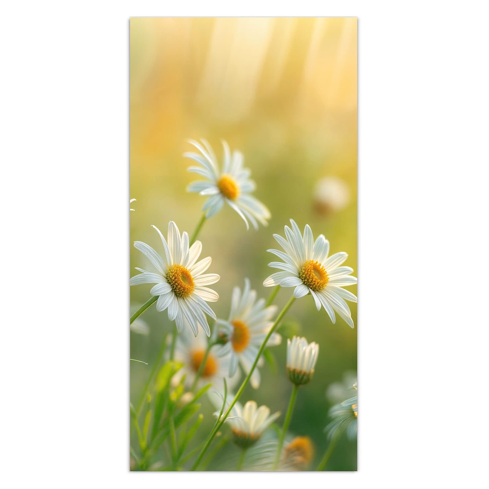 #grösse_30 x 60 cm #grösse_40 x 80 cm #grösse_50 x 100 cm #grösse_55 x 110 cm #grösse_60 x 120 cm