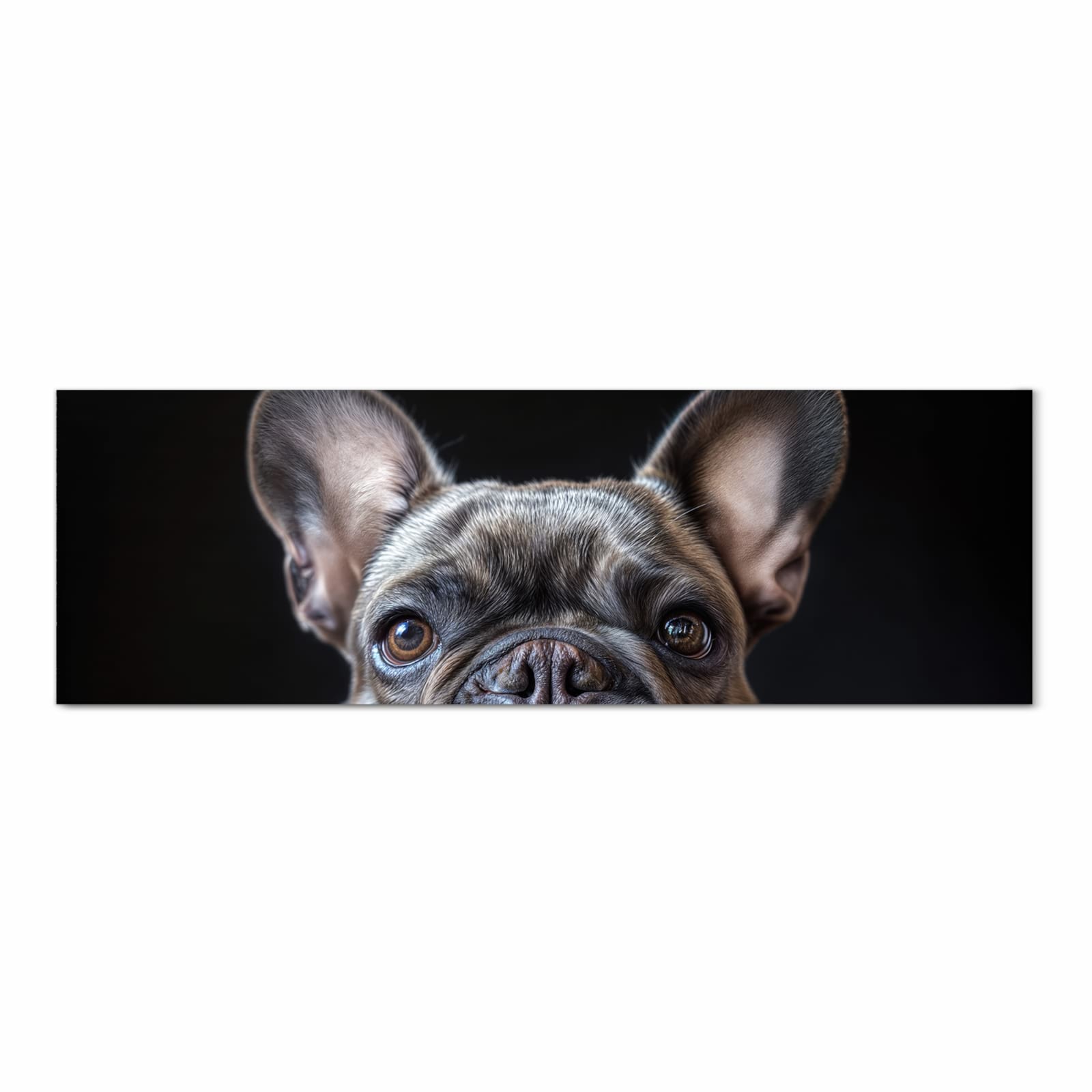 Hygienischer langer Teppich für Flur mit Motiv Bulldoggenportrait in Frontansicht