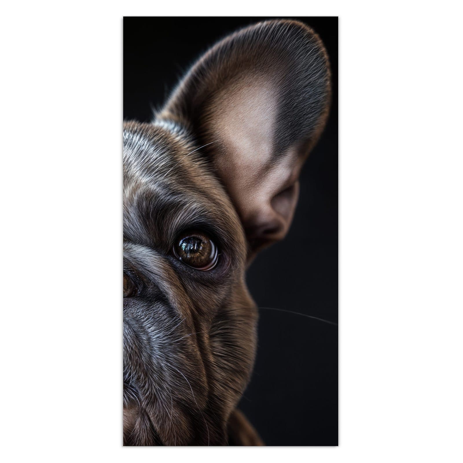 #grösse_30 x 60 cm #grösse_40 x 80 cm #grösse_50 x 100 cm #grösse_55 x 110 cm #grösse_60 x 120 cm