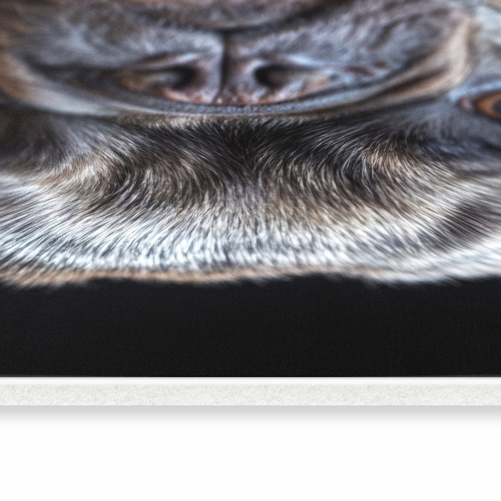 Abriebfester rutschfester Läufer mit Motiv Bulldoggenportrait in seitlicher Ansicht