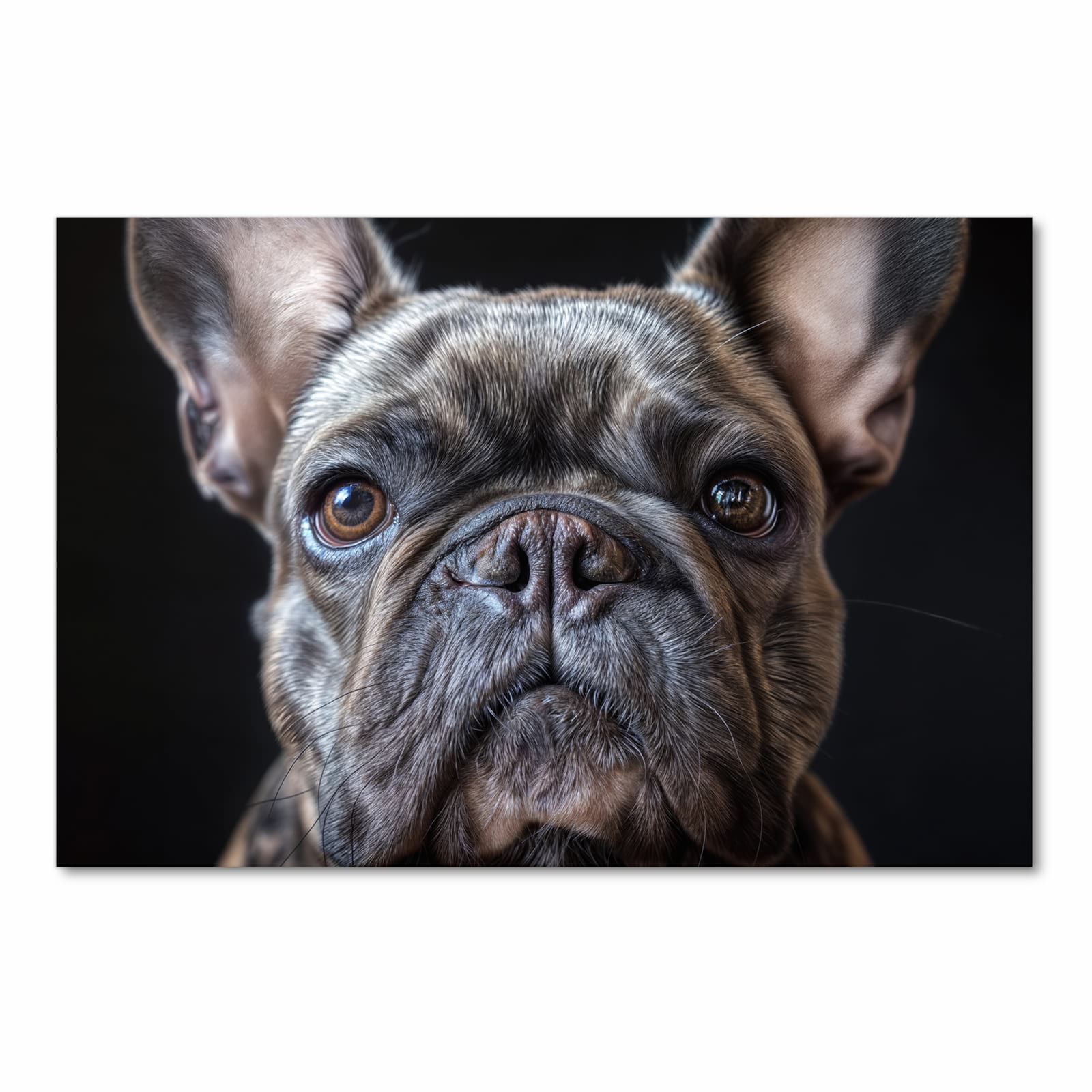 Waschbarer Küchenläufer mit Motiv Bulldoggenportrait in Frontansicht für angenehme Haptik