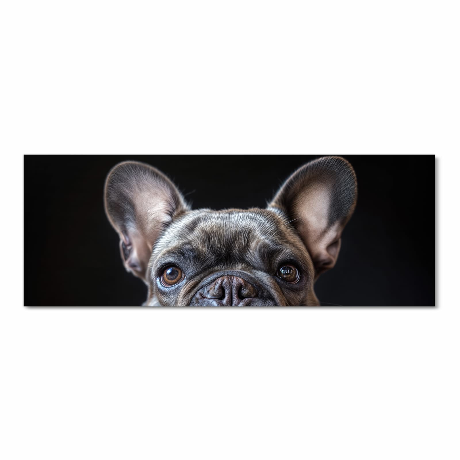 Langlebiger dünner Küchenteppich mit Motiv Bulldoggenportrait in Frontansicht