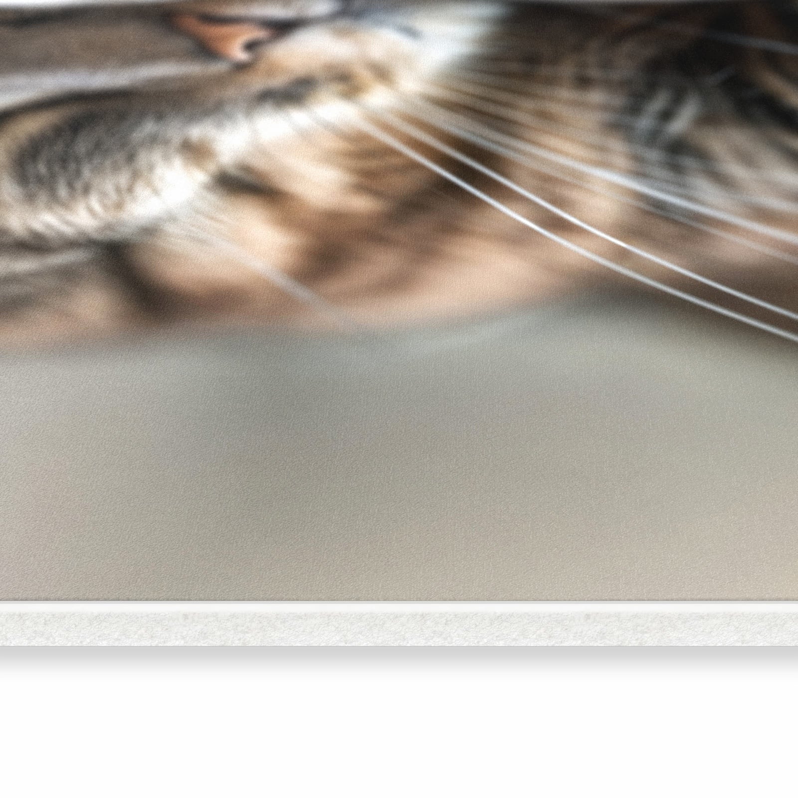 Waschbarer Küchenläufer mit Motiv Katze von Schlafende in seitlicher Ansicht für sichere Aufbewahrung