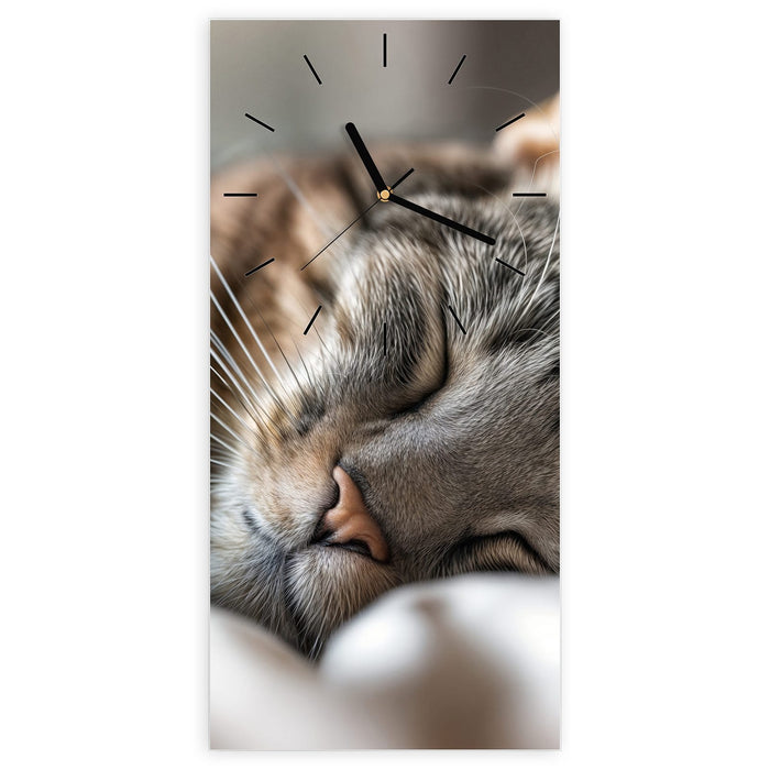 Wanduhr Schlummernde Katze Portrait aus Glas – Hochformat 30 × 60 cm mit Ziffernblatt Linie