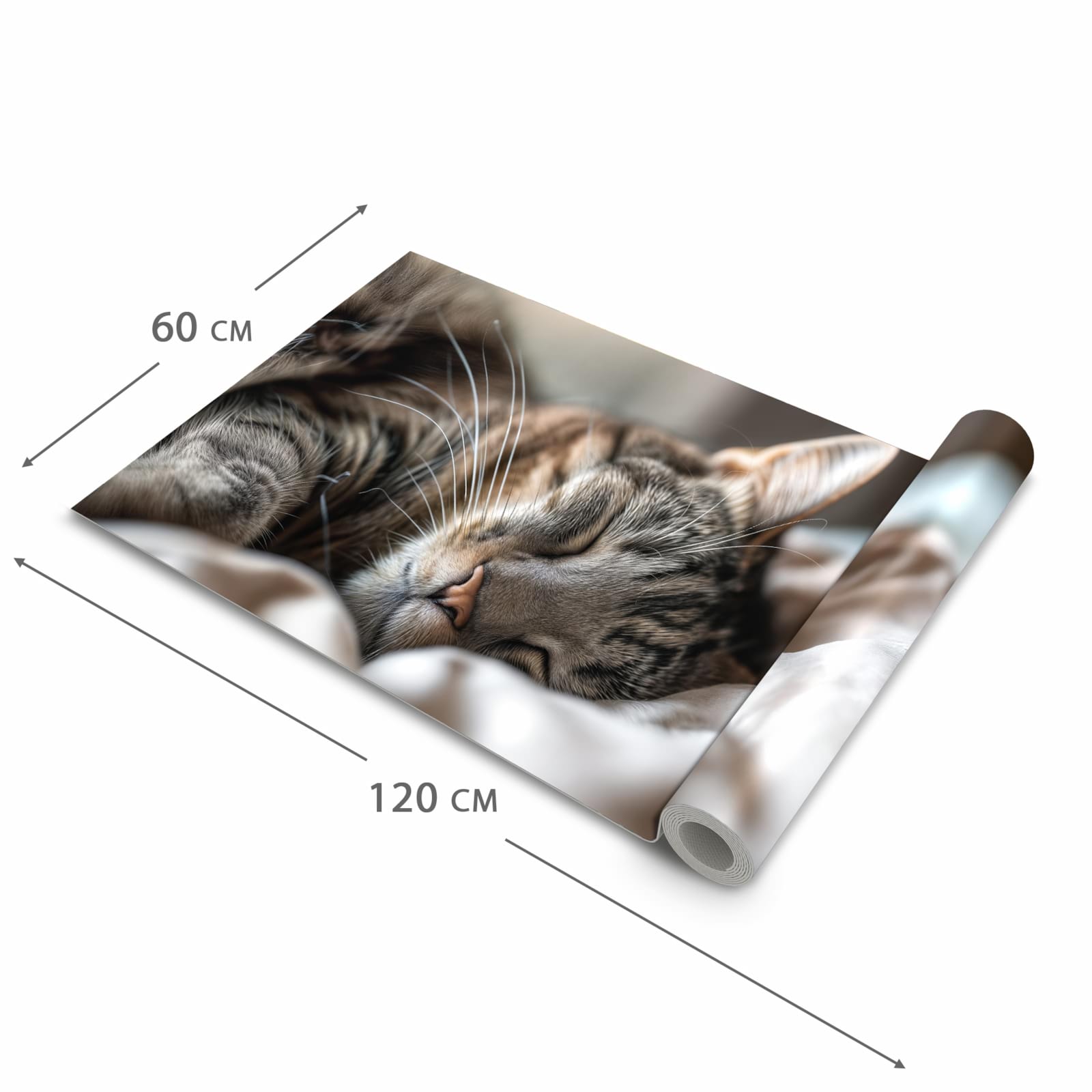 Schmutzabweisender Läufer Eingangsbereich mit Motiv Katze von Schlafende in der Grösse 90x240 cm