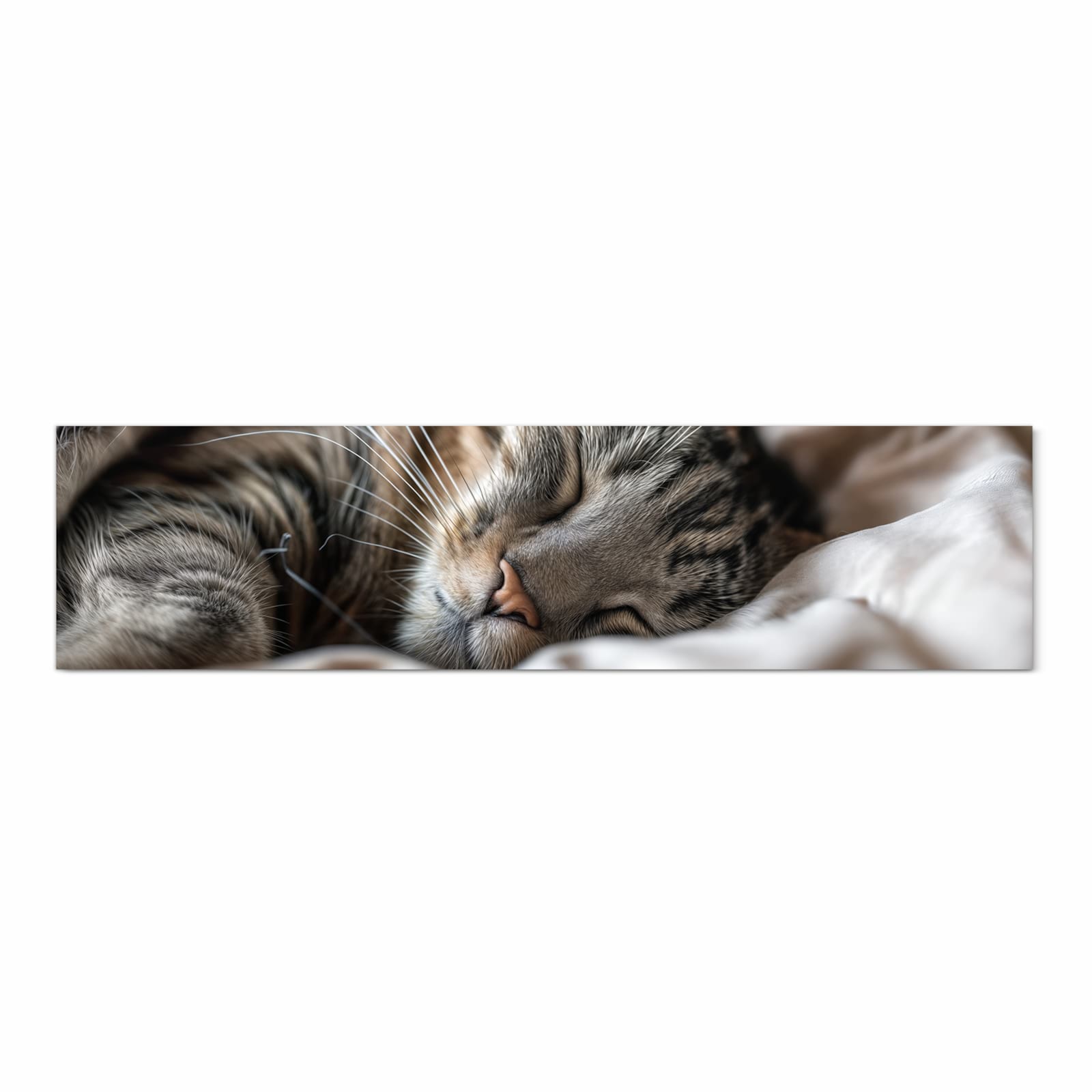 Schmutzabweisender waschbarer Küchenteppich mit Motiv Katze von Schlafende in Frontansicht