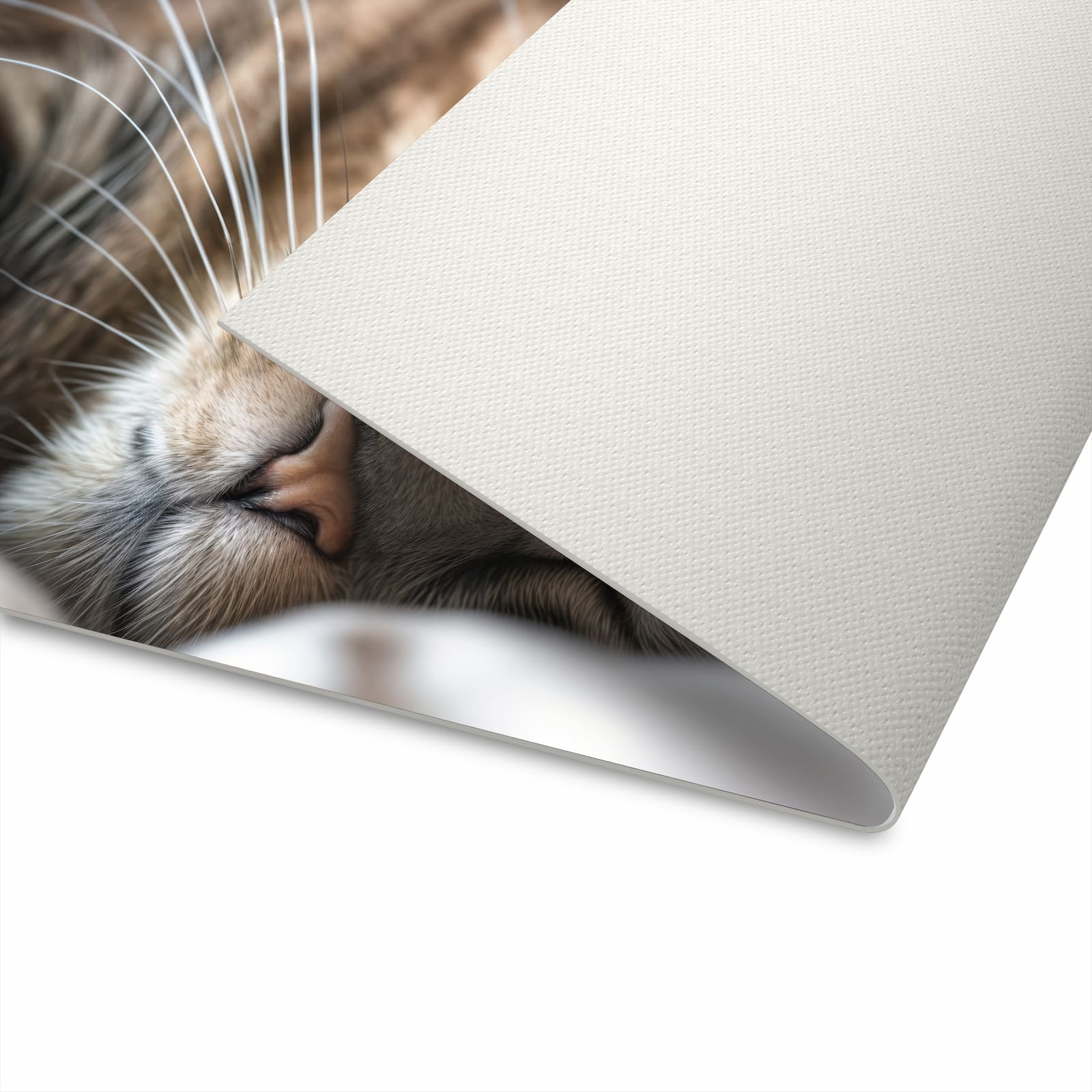 Küchenteppich mit Motiv Katze von Schlafende für angenehme Haptik beim Stehen in Unterseite