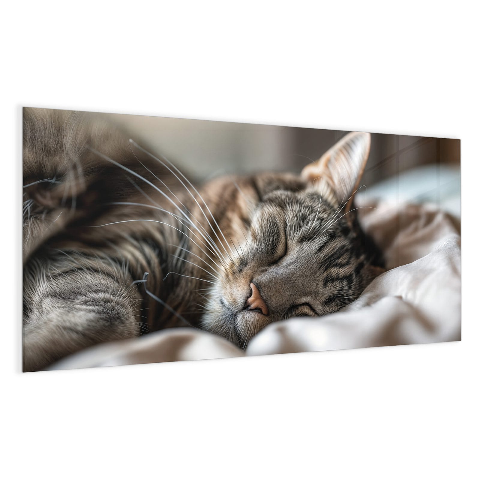 #grösse_100 x 50 cm