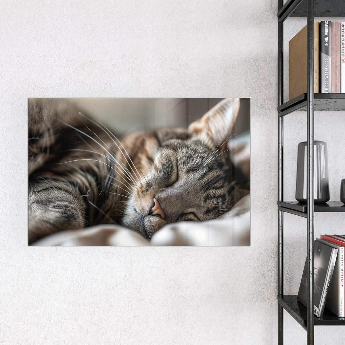 Magnettafel - Schlummernde Katze – Schlafende Katze in Nahaufnahme